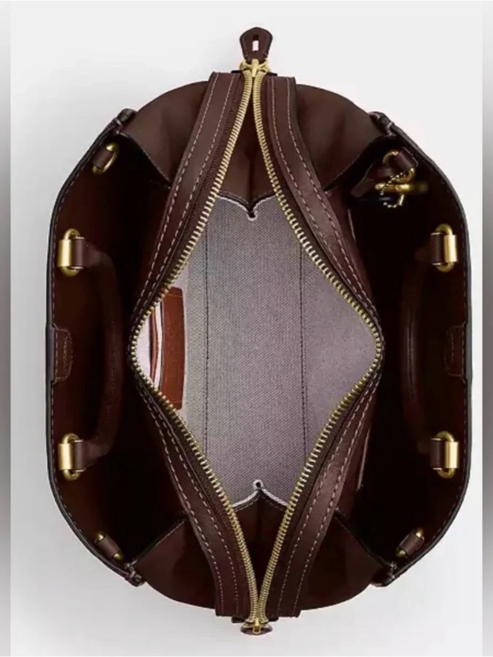 Coach Rogue 31 in Maple